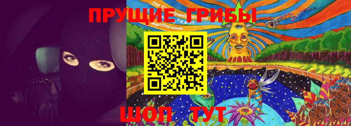 Орск  Галлюциногенные грибы Magic Shrooms  Вход с VPN  Галлюциногенные грибы Psilocybe 