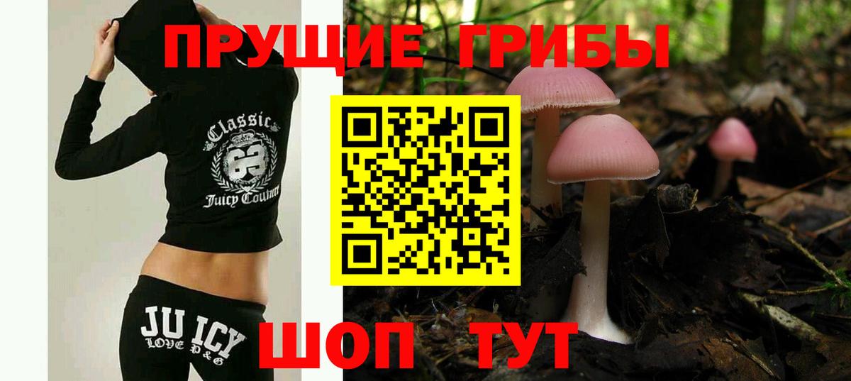 Галлюциногенные грибы Cubensis Орск